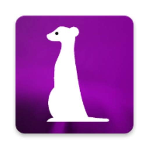 Meerkat browser - DPI bypass web browser 79.0.3910.0