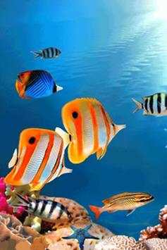 Fish Wallpaper screenshot 4