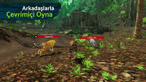 The Tiger screenshot 4