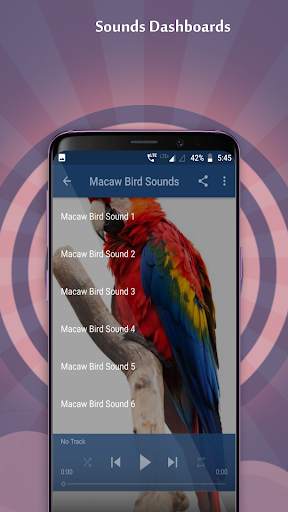 Macaw Bird Sounds screenshot 3
