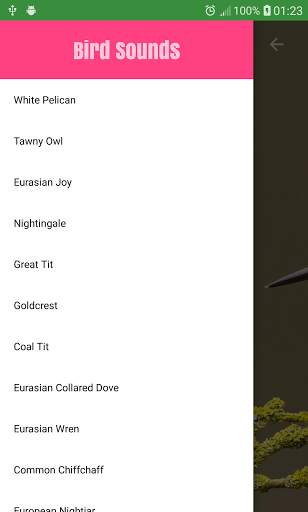 Bird Sounds screenshot 8