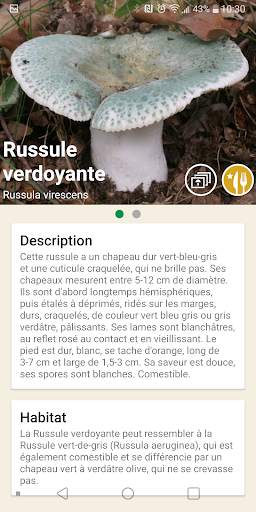 Aux champignons screenshot 2