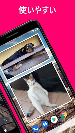 Photo Widget + screenshot 2