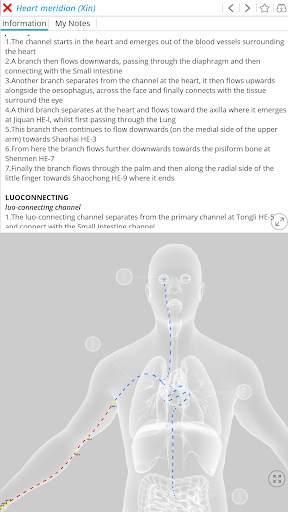 Visual Acupuncture 3D स्क्रीनशॉट 2