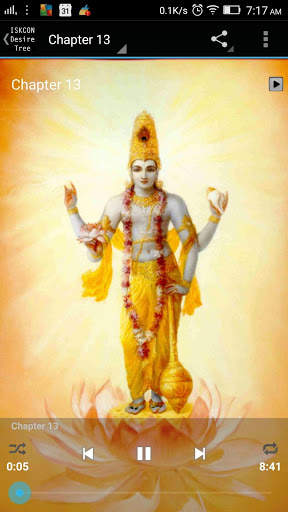 Bhagavad Gita Marathi Audio screenshot 3