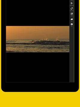 Nikon Art screenshot 6