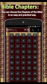 Holy Bible (NKJV) New King James Version English screenshot 3