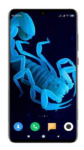 Scorpion Wallpaper screenshot 2