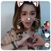 Video DJ Tik Tok Anjing Kacili Terbaru