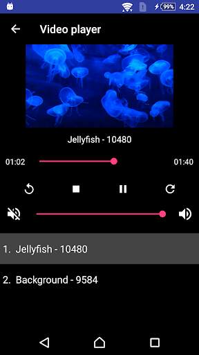Web Video Cast Chromecast screenshot 6