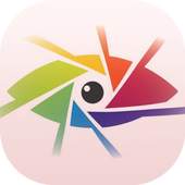 Sunshine Camera 1.0.1