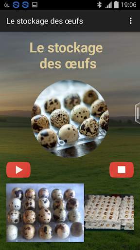 Quail breeding (Guide) screenshot 2
