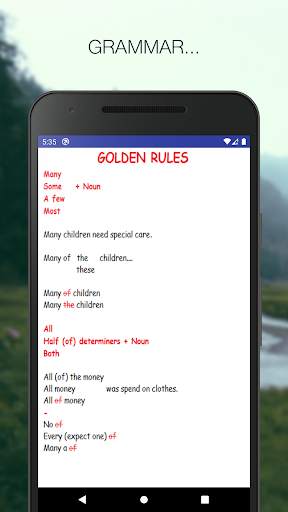 Determiners and Quantifiers screenshot 3