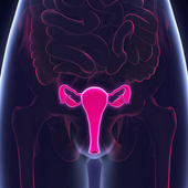 Global Vagina Health icon