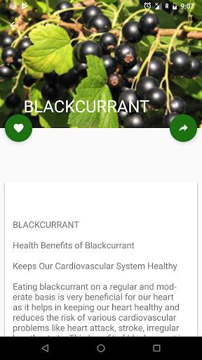 Medicinal Plants screenshot 3