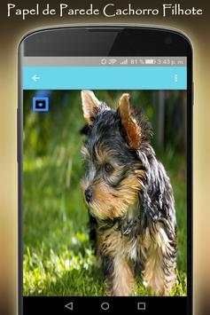papel de parede cachorro filhote: Imagens de Cães screenshot 2