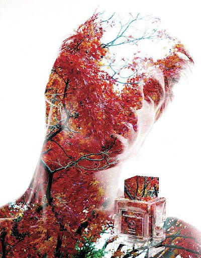 Photo Blending Effect screenshot 1