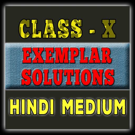 Class 10 math(Hindi)Ncert exemplar 1.0