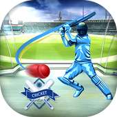 Cricket Scorecard