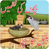 Bachon Ki Urdu Nazmain – Bulbul Ka Bacha Urdu Poem 1.0