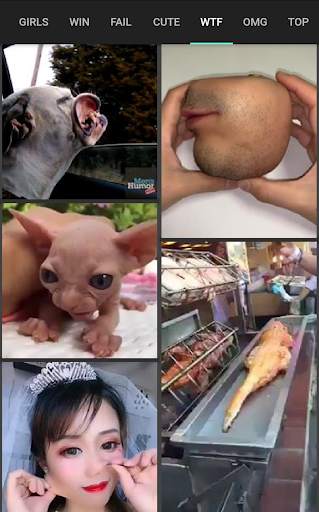 Funny Videos for WhatsApp स्क्रीनशॉट 7