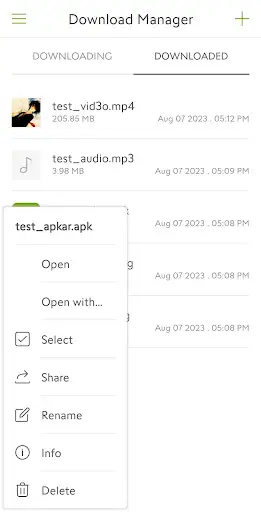 Download Manager For Android screenshot 3