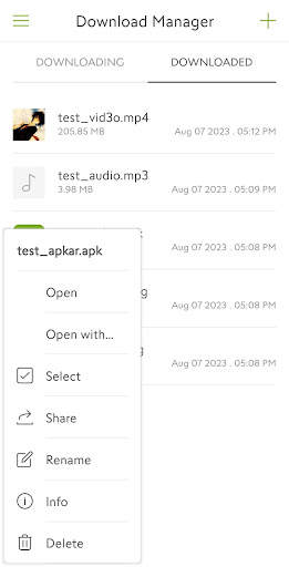 Download Manager For Android screenshot 3