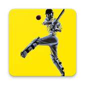 LMN Cricket logo
