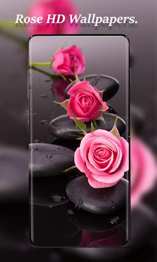 Rose Wallpapers screenshot 3
