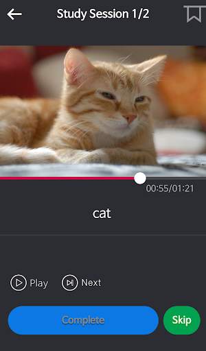 Basic English for Beginners screenshot 4