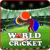 World Cricket 1.0