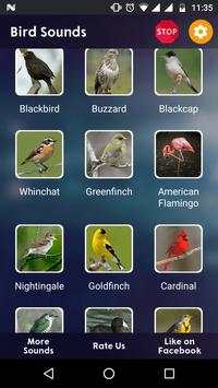 Bird Sounds screenshot 4