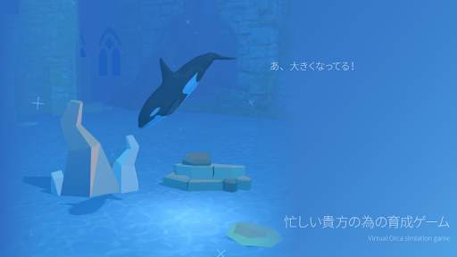 Virtual Orca Simulation game 3 screenshot 4