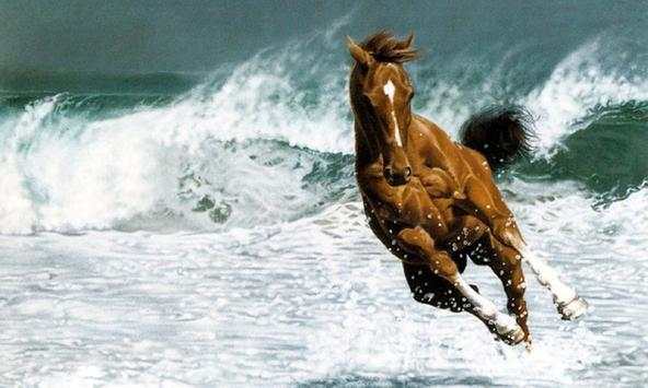 Horse wallpapers screenshot 1