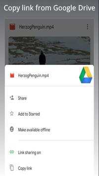 Web Video Cutter - Download short videos screenshot 4
