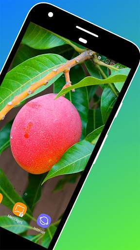 Mango Wallpaper screenshot 2