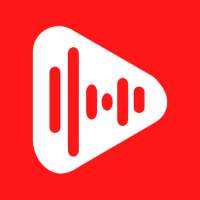 Playtube Downloader