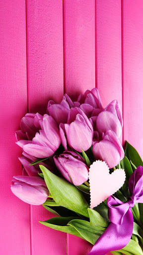 Pink Tulips Live Wallpaper screenshot 1