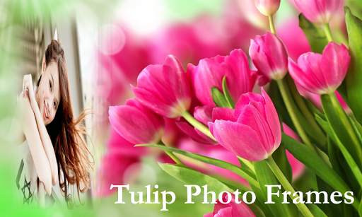 Tulip Photo Frames  HD New screenshot 5