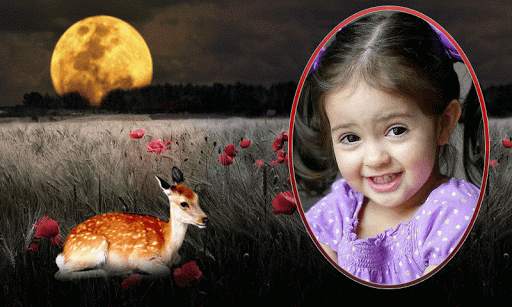 Night Moon Photo Frame New screenshot 1