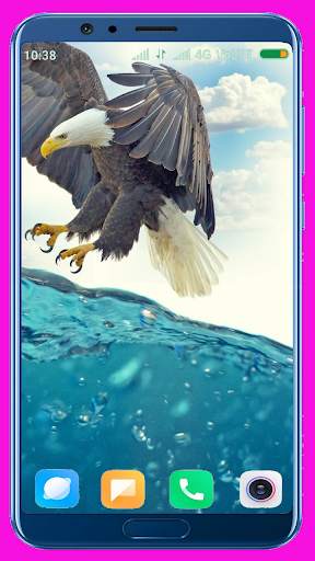 Eagle Wallpaper Best 4K screenshot 9