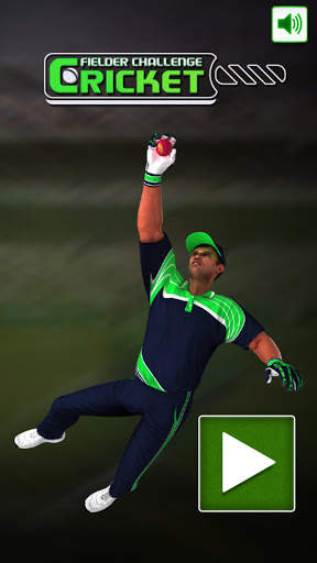 Cricket Fielder Challenge screenshot 1