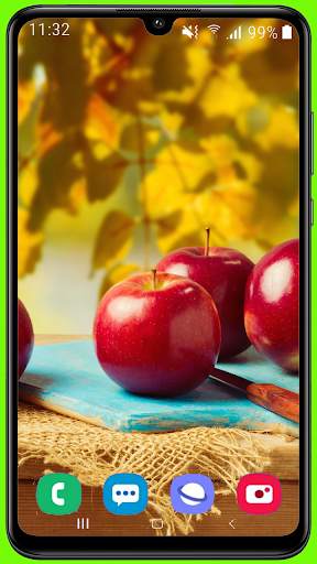 Fruit Apple Wallpaper HD screenshot 8