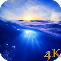 Ocean Live Wallpaper 4K logo