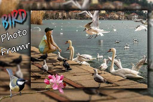 Bird Photo Frame : Cut Paste Editor screenshot 2