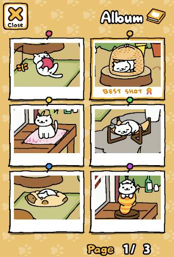 Neko Atsume: Kitty Collector screenshot 10