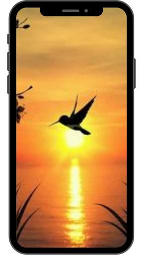 Sunset Wallpaper for Android 4K HD screenshot 6