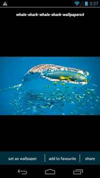 Whale Shark Wallpapers screenshot 3