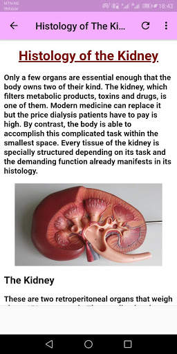 Human Histology screenshot 5