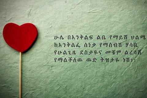 እኔና አንቺ - Ethiopian Couples Conversation скриншот 2